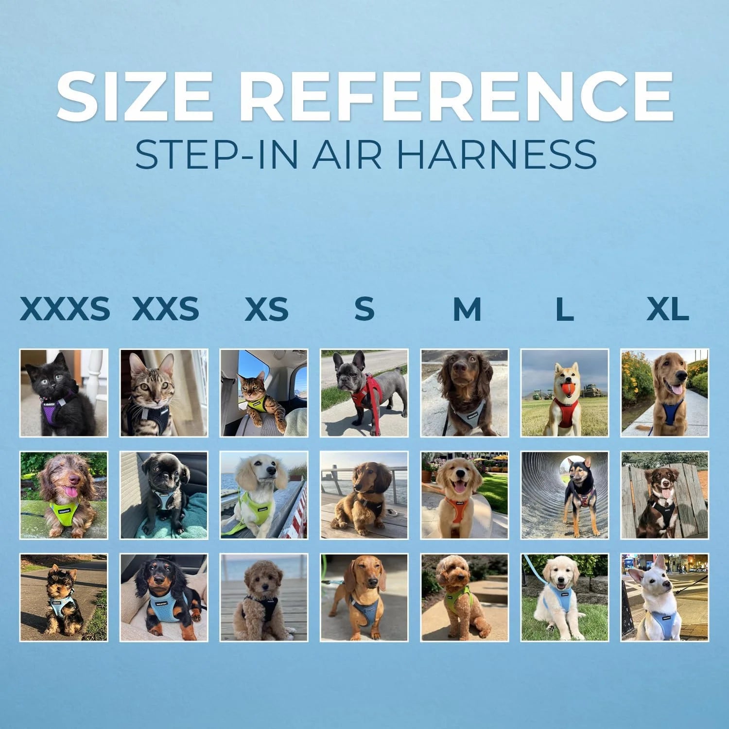 Step-In Air Mesh Dog Harness by Best Pet Supplies