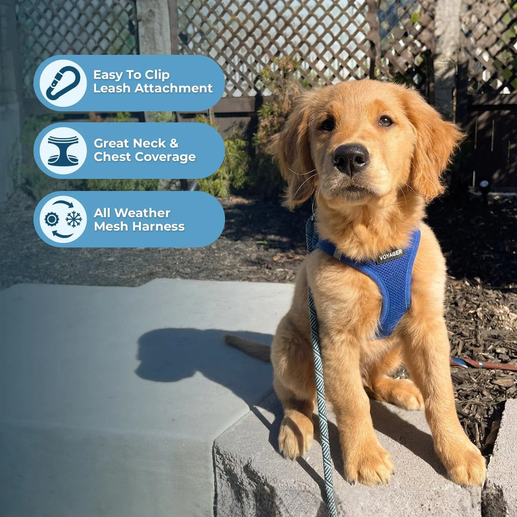 Step-In Air Mesh Dog Harness by Best Pet Supplies