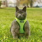 Step-In Air Mesh Dog Harness by