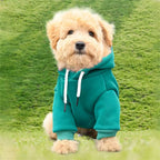 Dog Sweaters for Small Dogs, Fall Warm Dogs Boy Clothes Sweater, Medium Puppy with Pocket Fleece for Small Dog Girl Winter Hoodie Pet Clothes, Pet Supplies Red